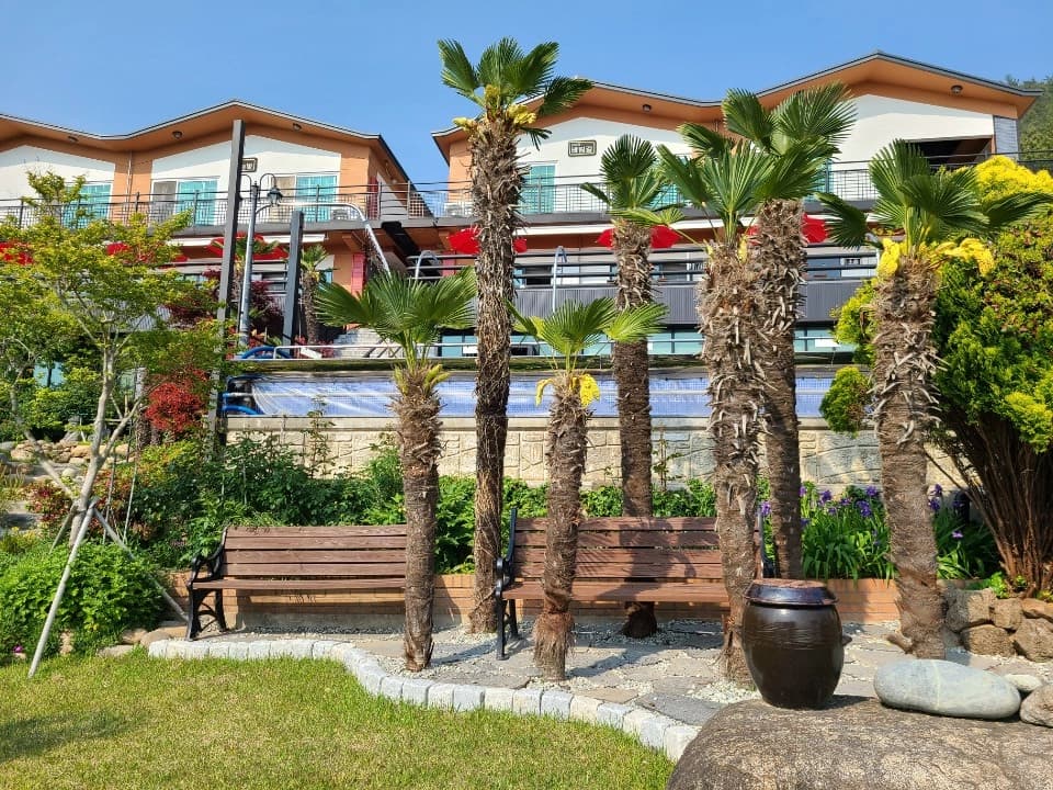 하늘빛바다펜션 초여름 저녁 정원 야자수와 벤치