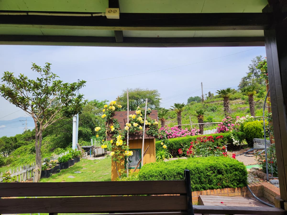 하늘빛바다펜션 봄 아침 정자에서 바라본 정원