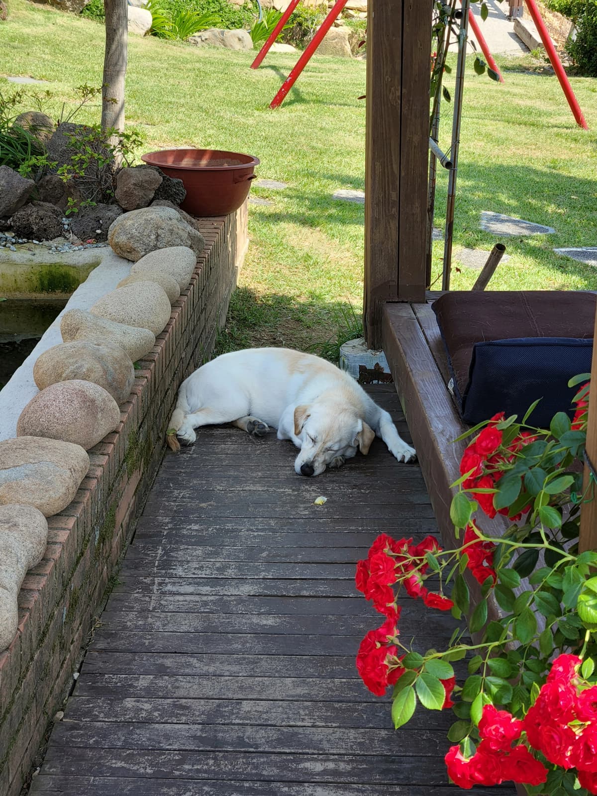 하늘빛바다펜션 초여름 낮 정원 한켠에서 잠든 행복이