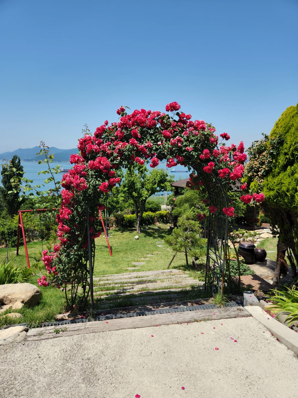 하늘빛바다펜션 초여름 아침 붉은 장미로 가득 찬 아치형 게이트 너머로 잔디 마당과 바다가 이어지는 포인트 뷰