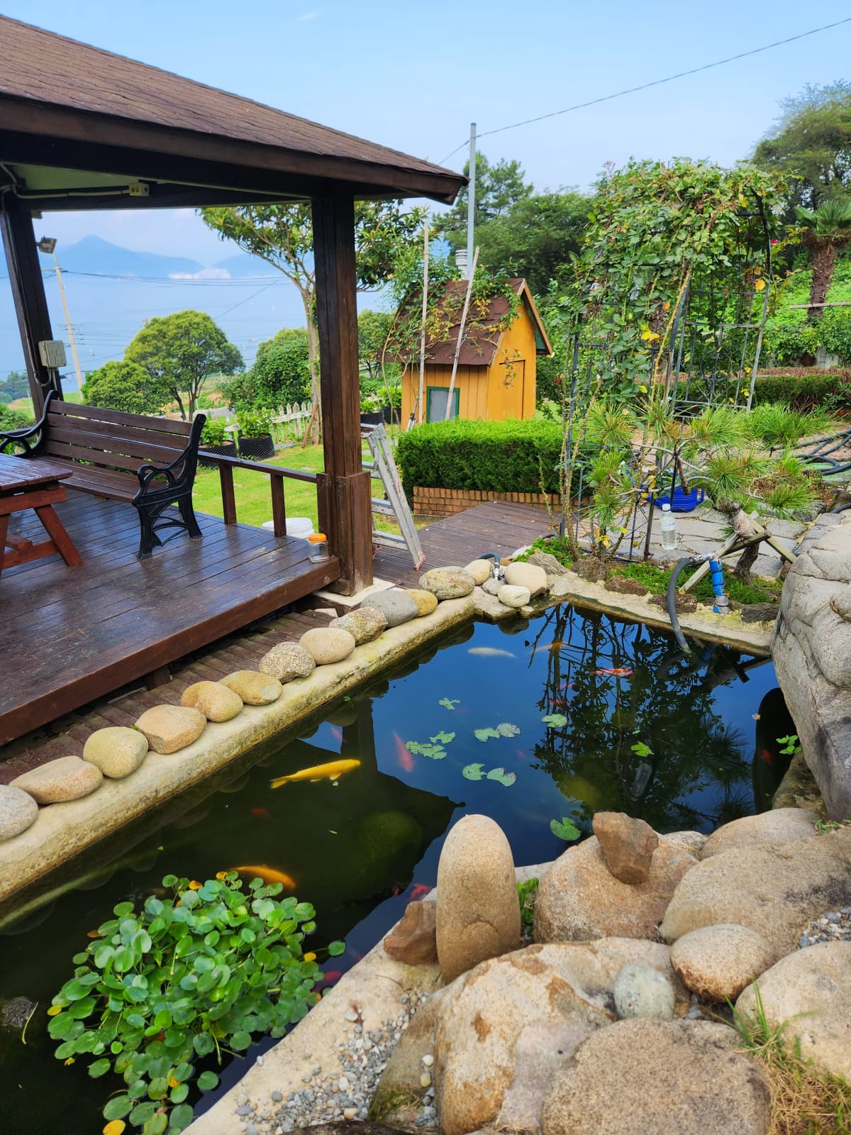 하늘빛바다펜션 여름 아침 정원 연못