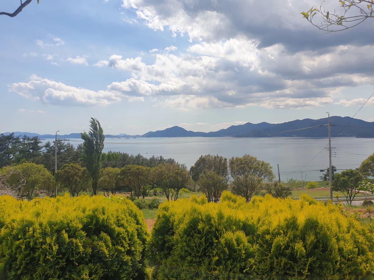 하늘빛바다펜션 봄 낮 초록 너머로 펼쳐진 바다